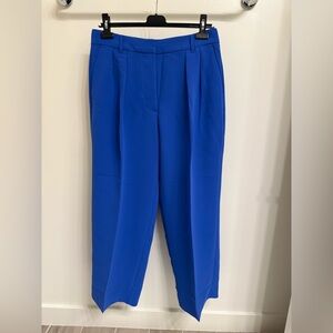 NWT Banana Republic Pleated Wide Leg Pants - Stunning bright blue!
